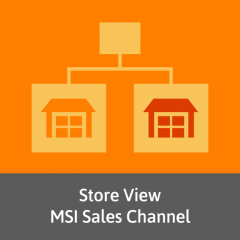 Store View MSI Sales Channel